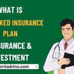 What is Unit Linked Insurance Plan - Life Insurance & Investment